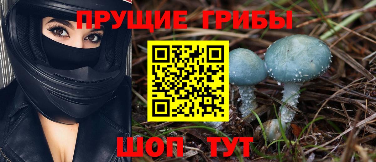Миасс  Псилоцибиновые грибы GOLDEN TEACHER  Вход с VPN  Псилоцибиновые грибы MAGIC MUSHROOMS 