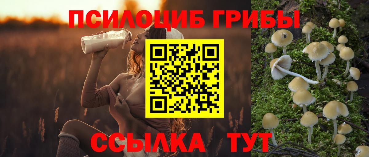 Галлюциногенные грибы Psilocybine cubensis Миасс